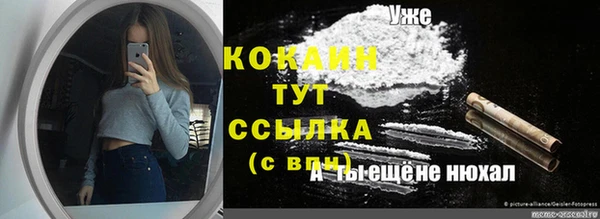 гидра Карпинск