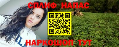 хмурый Новозыбков