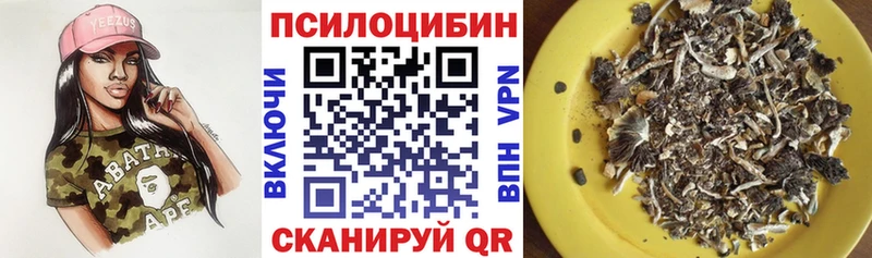 Галлюциногенные грибы Psilocybe Чайковский