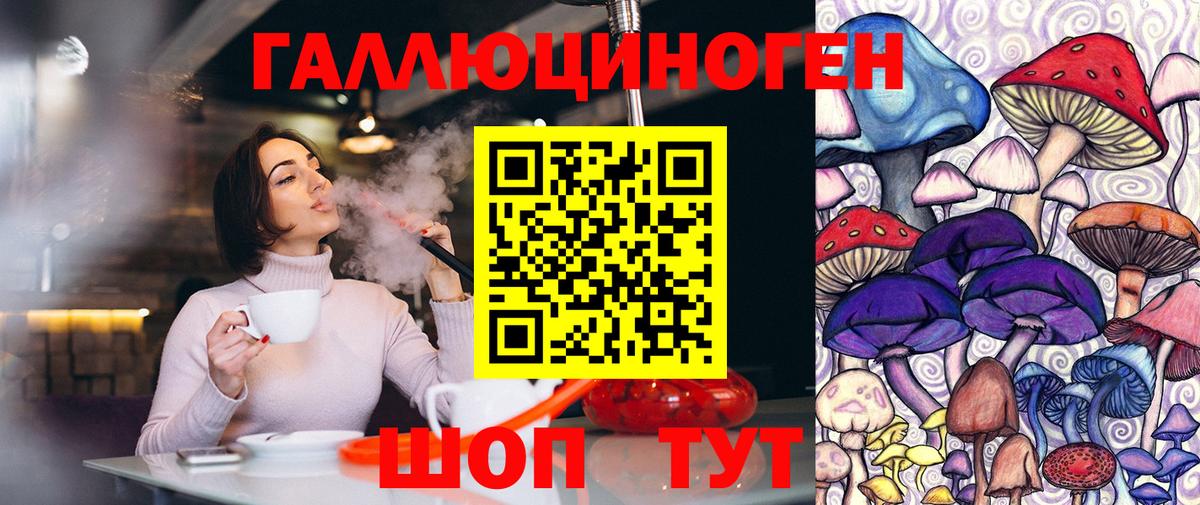 Галлюциногенные грибы Cubensis Чайковский