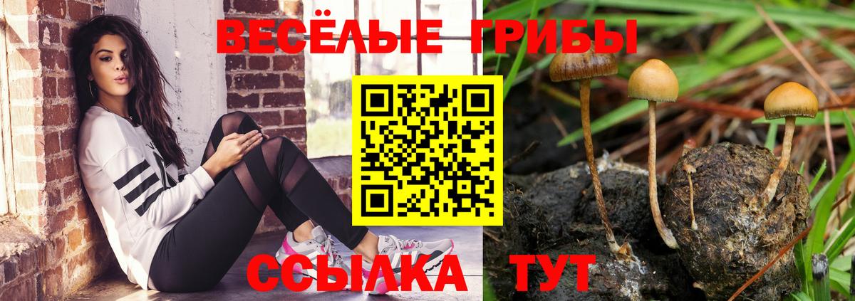 Псилоцибиновые грибы ЛСД Чайковский